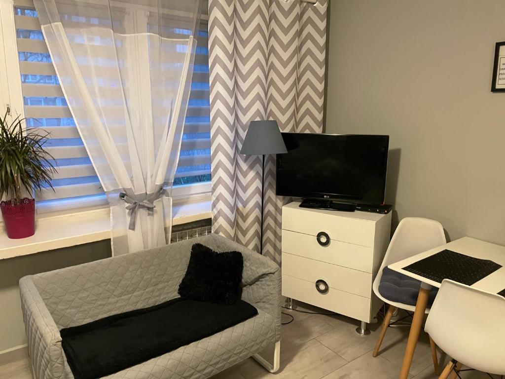 Televízia a/alebo spoločenská miestnosť v ubytovaní Apartament Centrum Pańska