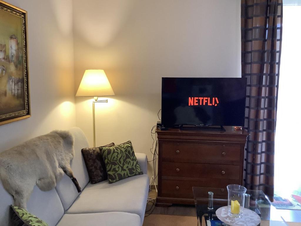 A television and/or entertainment centre at Apartman Golf Lux