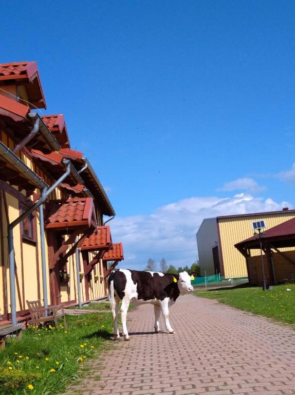 Zvieratá na farme alebo blízkom okolí