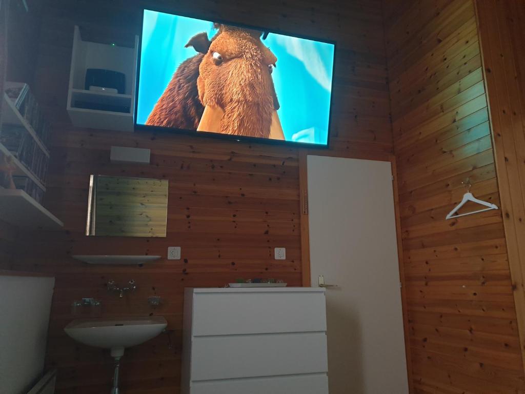 TV a/nebo společenská místnost v ubytování Tschuggen 4