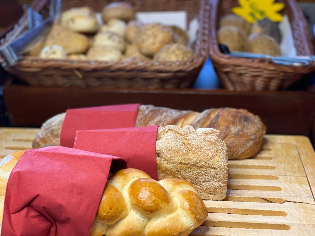 GAIA Hotel Basel - the sustainable 4 star hotel - Resim 20