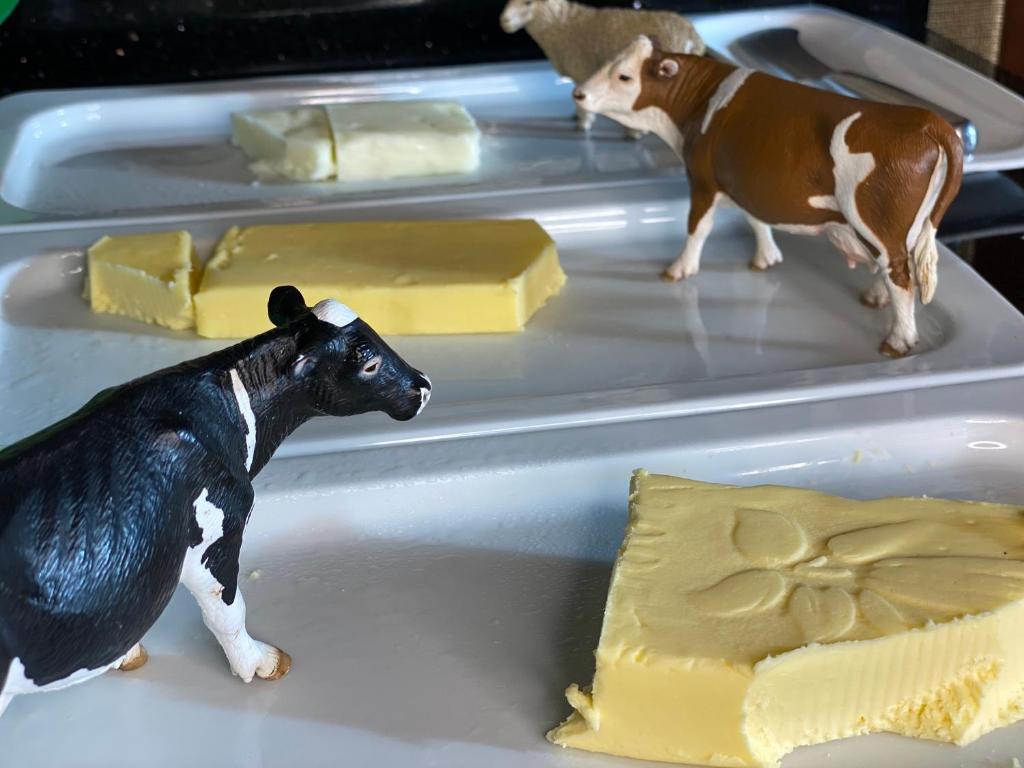 GAIA Hotel Basel - the sustainable 4 star hotel - Resim 17