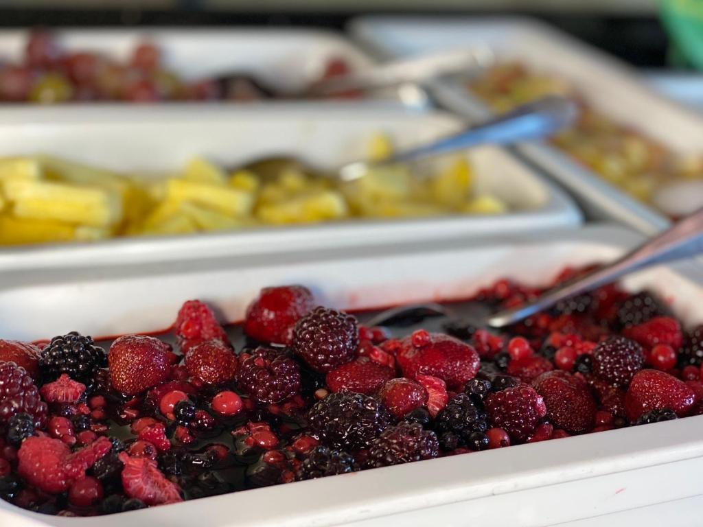 GAIA Hotel Basel - the sustainable 4 star hotel - Resim 16