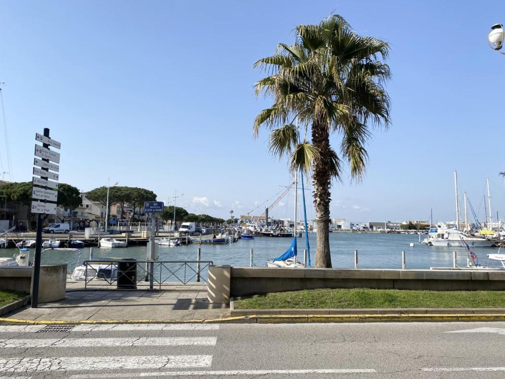 un palmier à côté d'un port de plaisance avec des bateaux dans l'établissement AS21673 - Studio en rez de chaussée face au Canal, au Grau-du-Roi