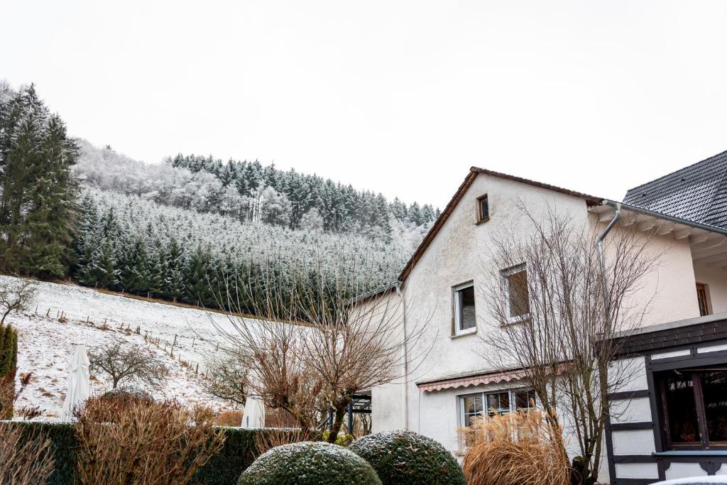 Hotel Tiefenhagen Sauerland v zimě