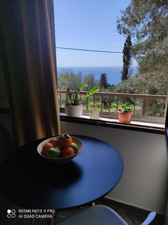 Príroda v okolí apartmánu