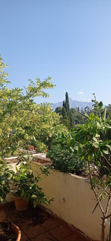 Cozy Room with sunny terrace, Marbella – Bijgewerkte prijzen 2022