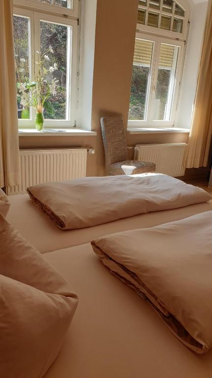 バート・ズルツァにあるFerienwohnung Sonnenschein Familie Hamdorfのベッドルーム(窓2つ付)のベッド2台