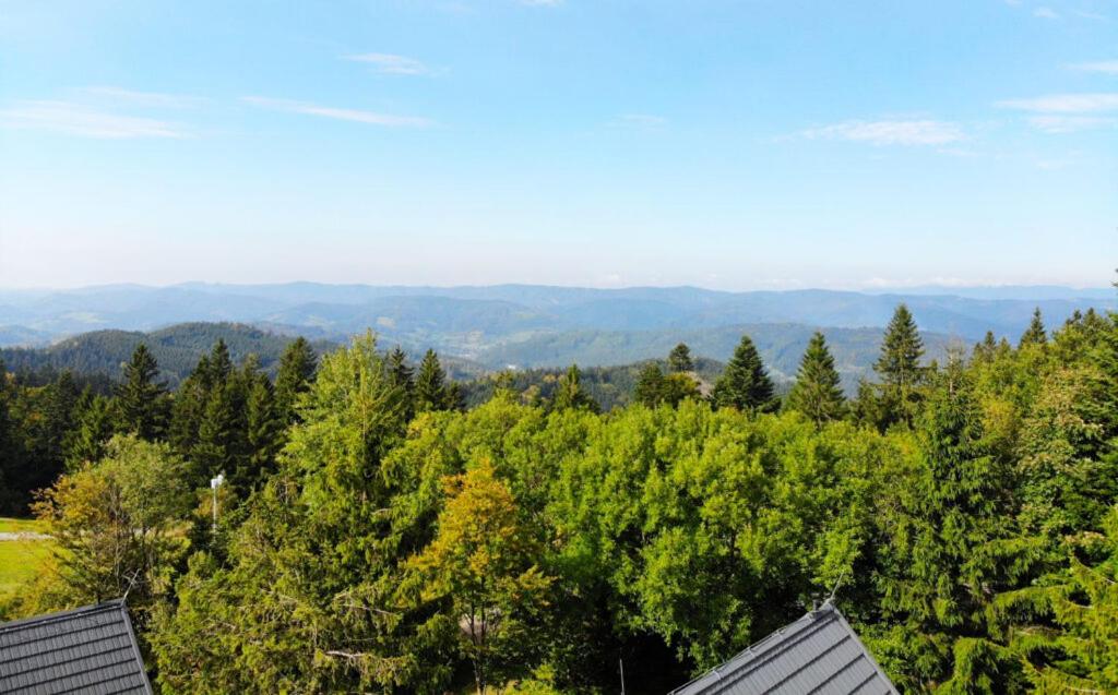 Příroda nedaleko apartmánu