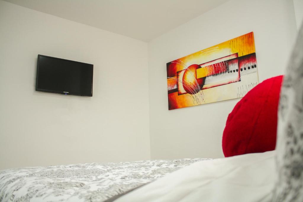 TV a/nebo společenská místnost v ubytování Apartahotel Kelly