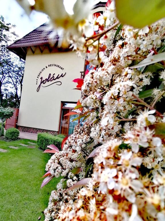 Zahrada ubytování Jolán Pension & Restaurant