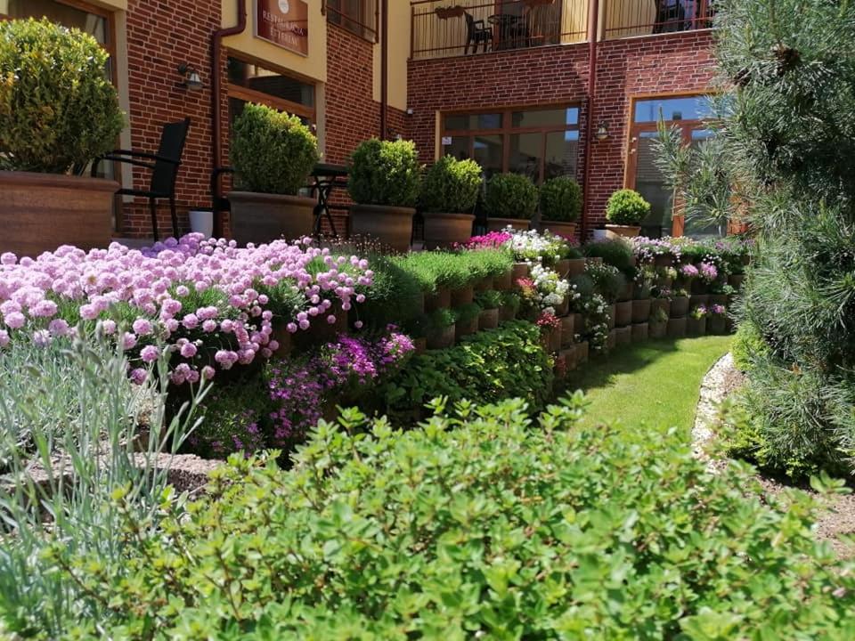 Zahrada ubytování Jolán Pension & Restaurant
