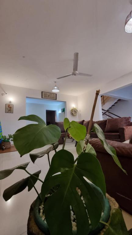 Fotografie z fotogalerie ubytování Evergreen House - 150Metre Walk To City Mall Nyali v destinaci Mombasa