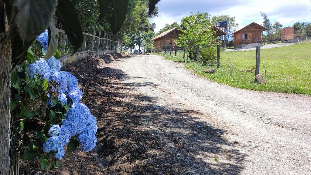 a dirt road with blue flowers on a fence at Chales Manaca da Serra in Urubici