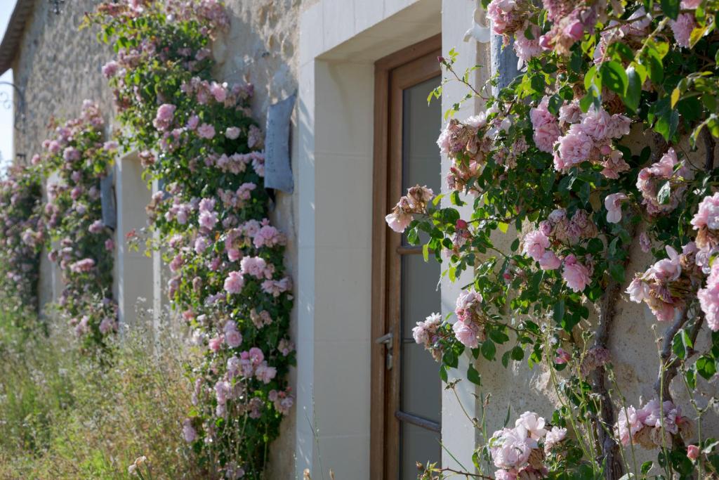Domaine de la Trigalière - Maison D'une Chambre