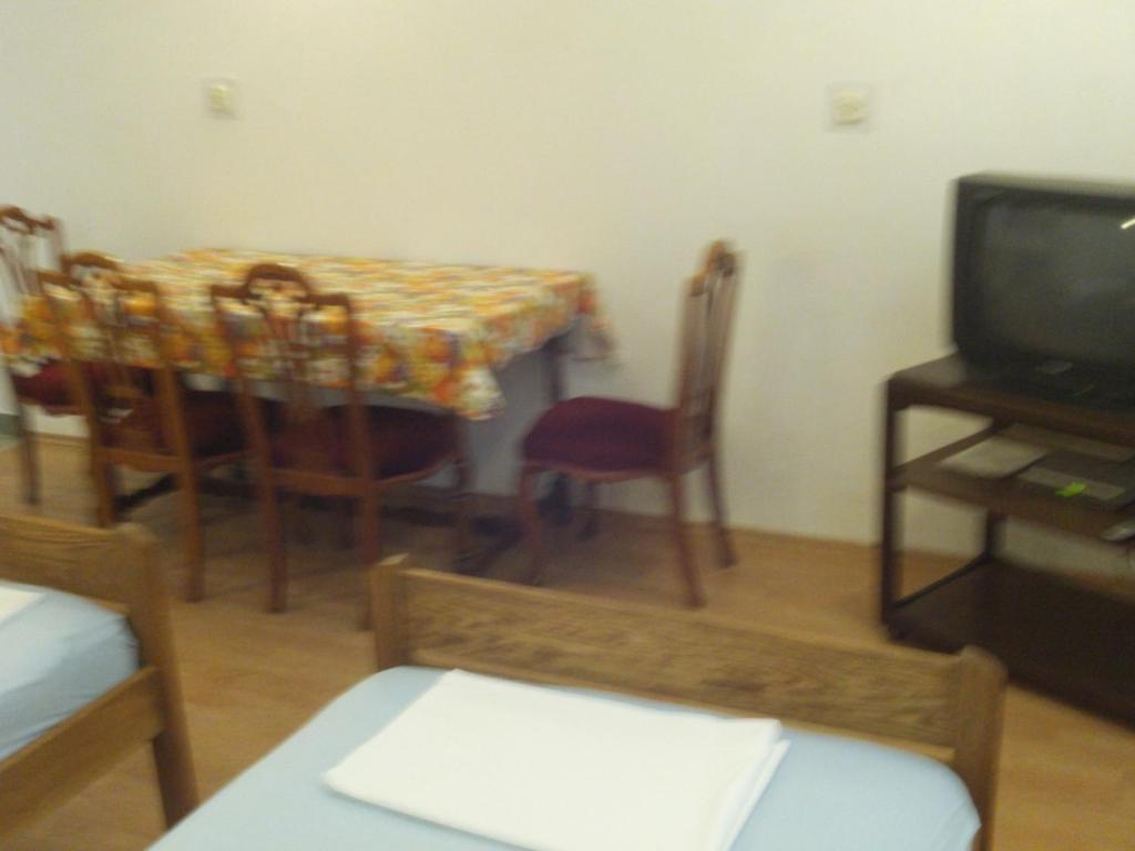 Televízia a/alebo spoločenská miestnosť v ubytovaní Apartment in Kustici with balcony, WiFi, washing machine (4847-1)
