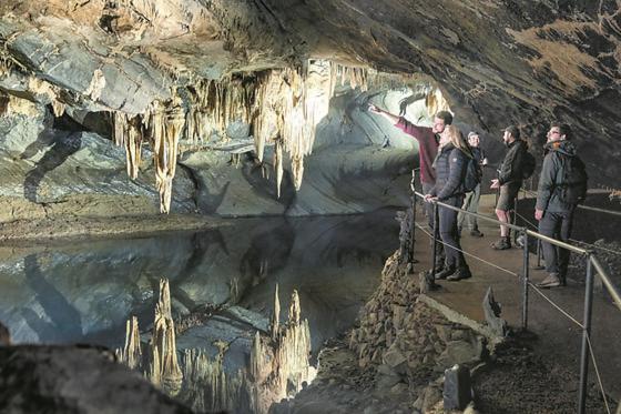 Hosté ubytování Cocoon Village - Glamping - Domaine des Grottes de Han