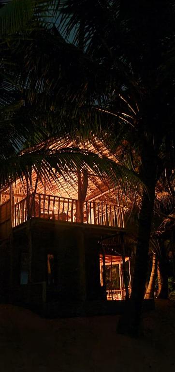 The Alpha Monkey hotel & Tree house - 10