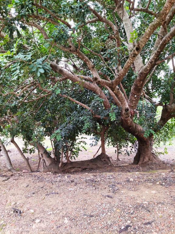 La Rueda Apartamentos Rurales, Chulilla – Updated 2022 Prices