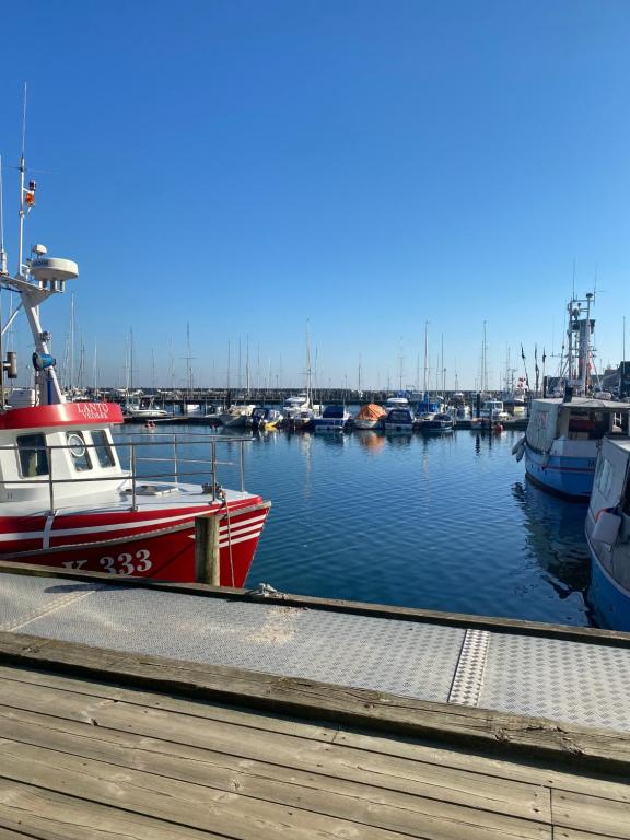 czerwona łódź jest zakotwiczona w doku z innymi łodziami w obiekcie Holiday house near forrest, harbor and beach w mieście Vedbæk