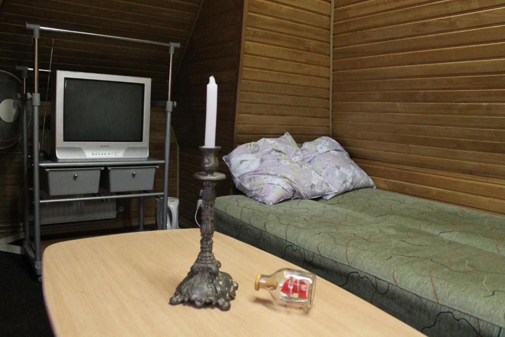 TV a/nebo společenská místnost v ubytování Hostel Teremok