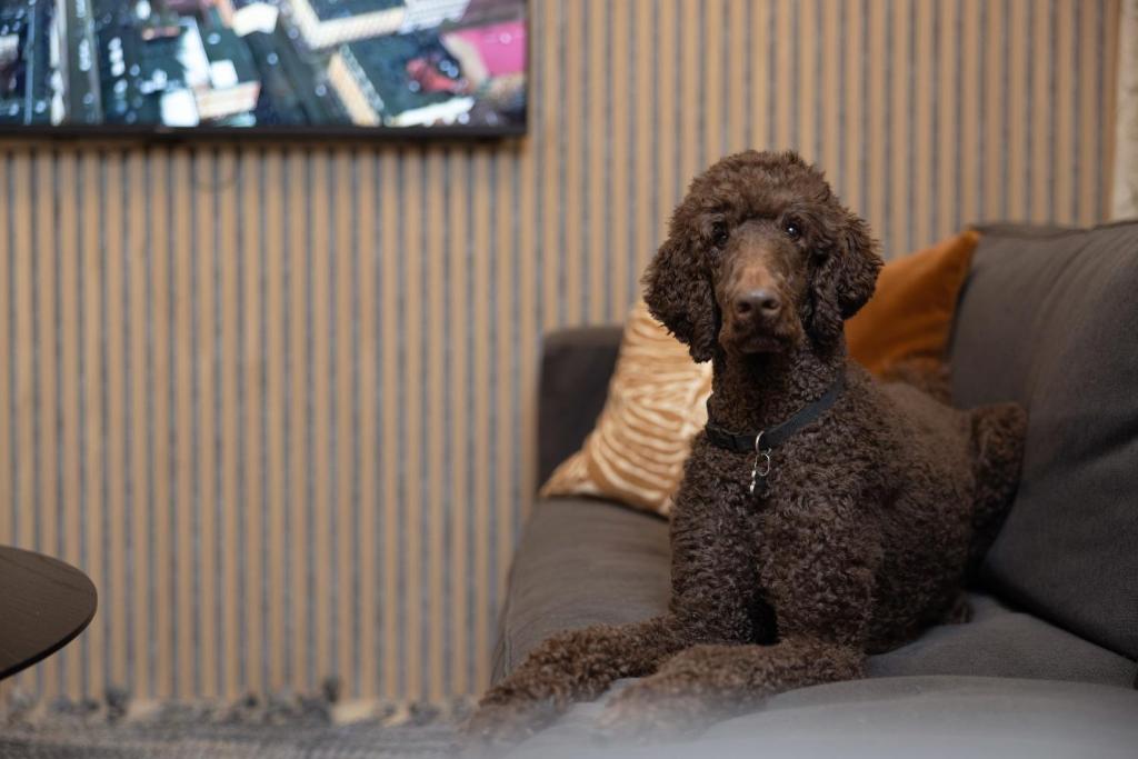 Hotel Söder - Resim 21