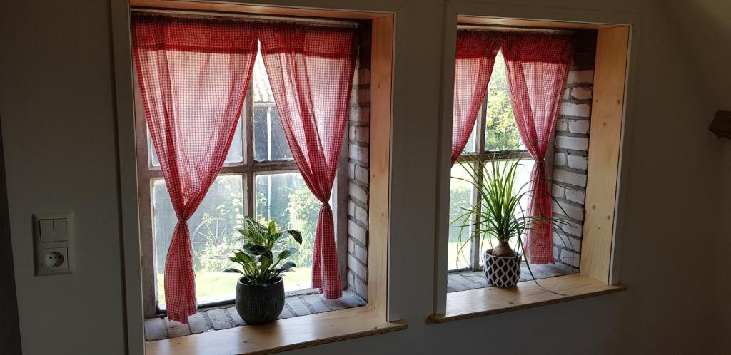 Fotografie z fotogalerie ubytování B&B Hoeve Ruimzicht v destinaci Renesse