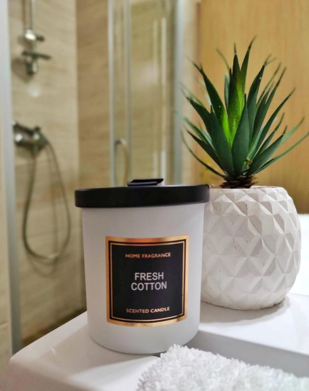 Apartments Sanja - 11