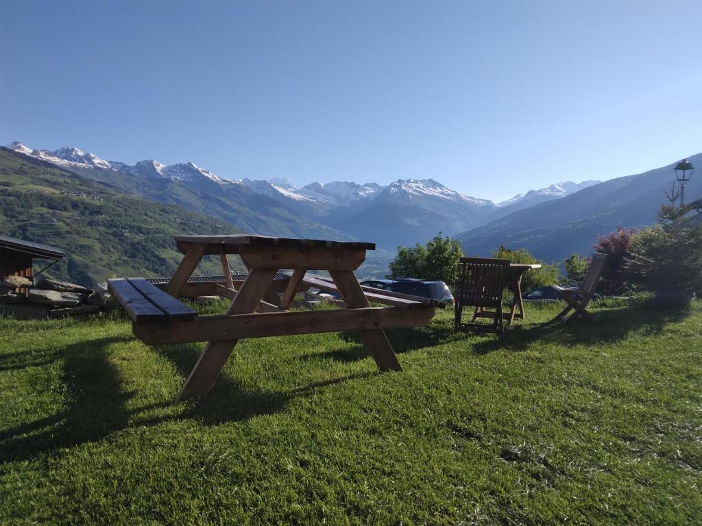una mesa de picnic en la hierba con montañas en el fondo en La Plagne Chalet cosy calme proche valée, en La Plagne Tarentaise