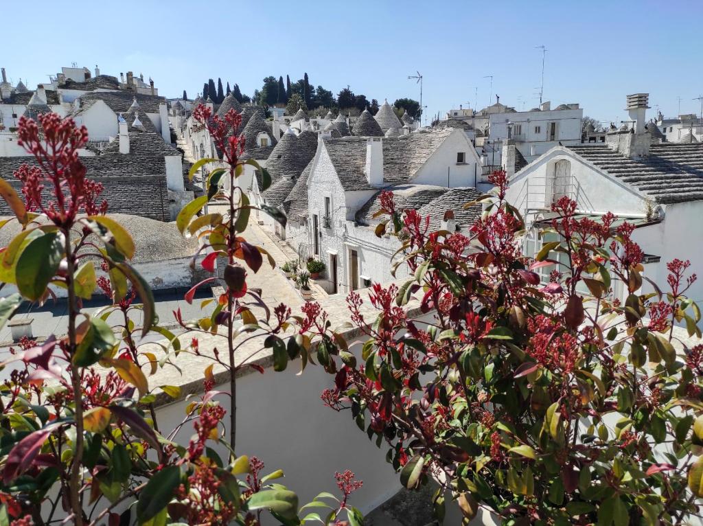 vistas a la ciudad desde el techo de un edificio en Noù la tua casa in Puglia, en Alberobello