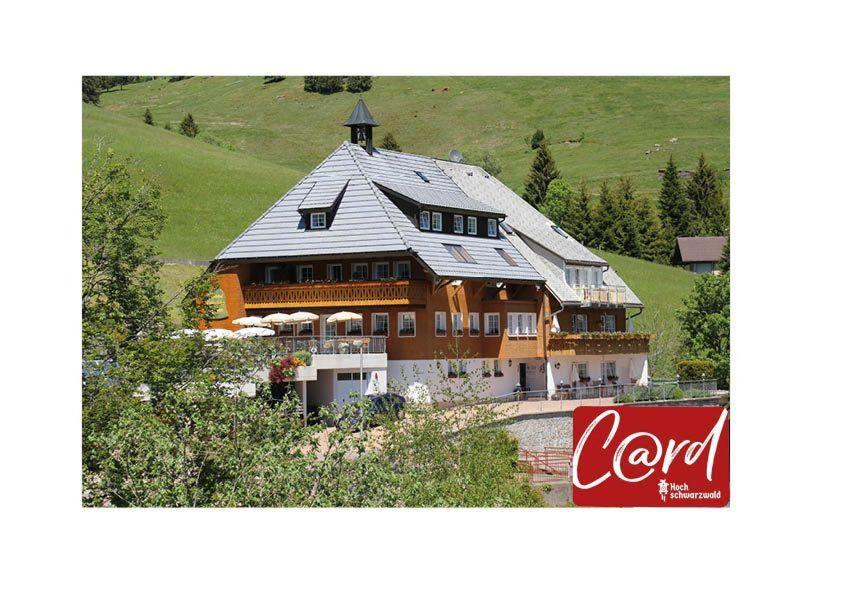 une grande maison avec un toit en étain sur une colline dans l'établissement Ferienwohnung-Schwarzwald-in-der-Pension-Gloecklehof, à Todtnau