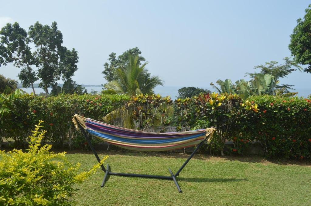 a hammock in the grass in a garden at Villa les 3 oisillons in Kribi