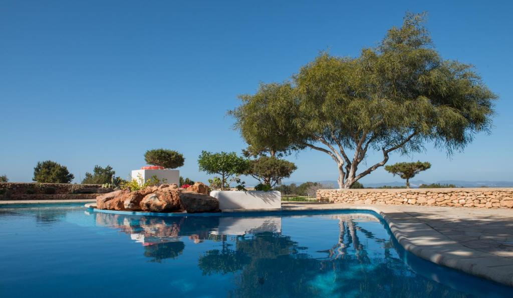 una piscina con un árbol en el fondo en Apartamentos Vista Vedrá, en La Savina