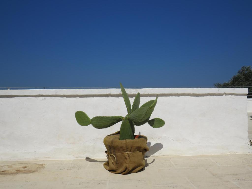 a plant in a pot sitting on the ground at Masseria Borgo Santuri in Ostuni