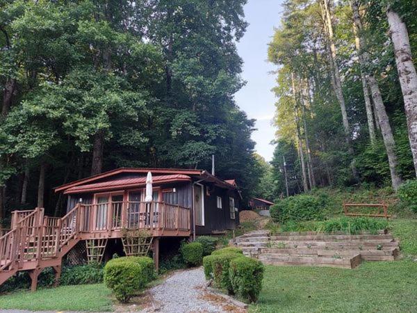 eine Hütte mitten im Wald in der Unterkunft Overlook Cottage in Hampton