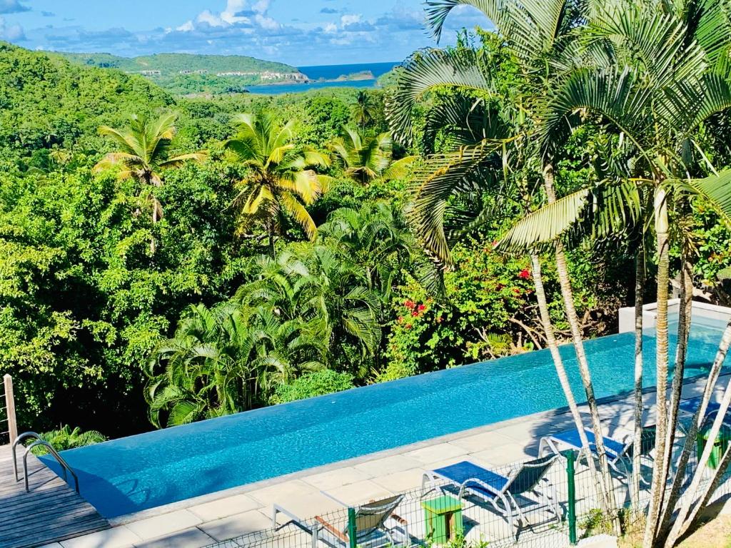 a resort swimming pool with palm trees and the ocean at VILLA COLIBRI in Mon Repos