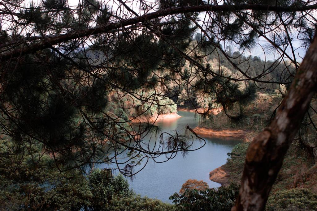 Paisaje cerca de este chalet de montaña