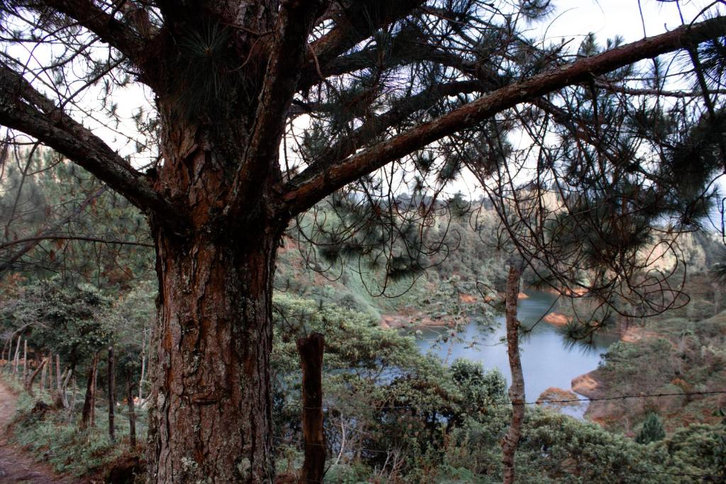 Paisaje cerca de este chalet de montaña