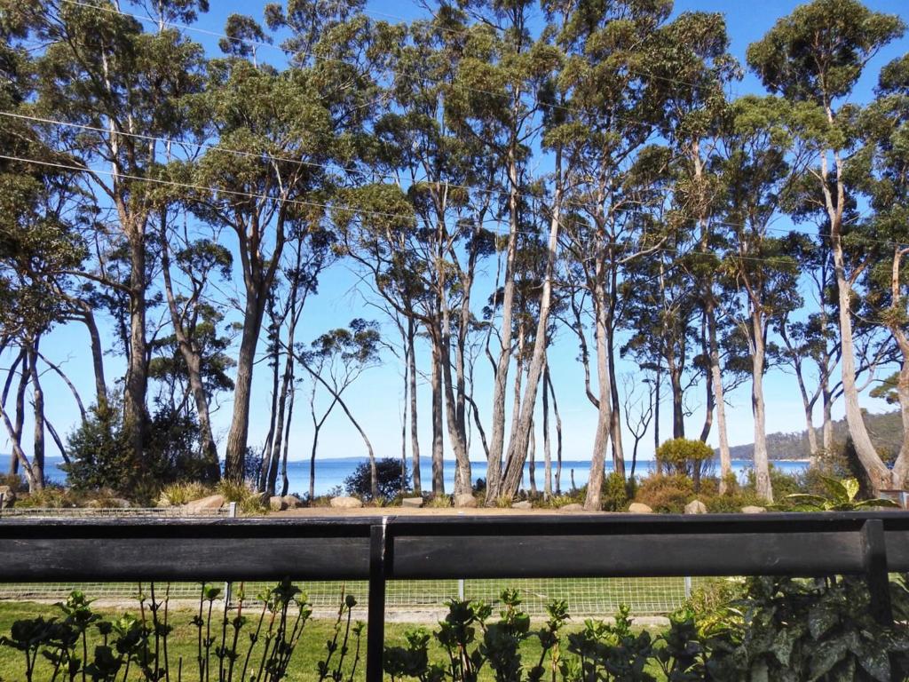 a view of the ocean from a park with trees at Sea Eagle at Roaring Beach in Surveyors Bay