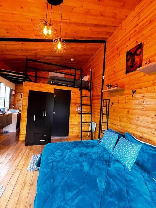 Villa Skape - Finca Villa Carolina - 度假屋