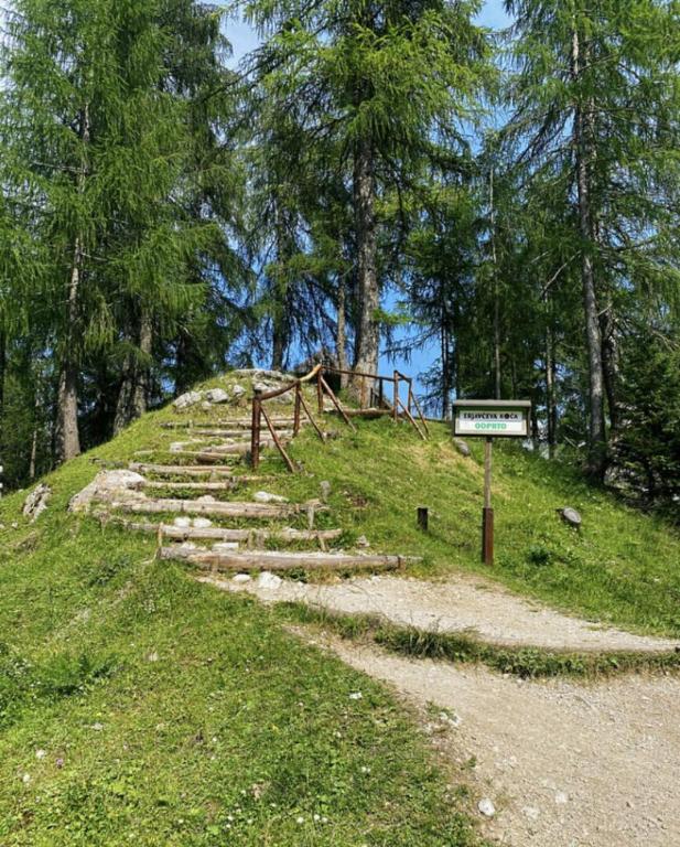 Příroda nedaleko penzionu