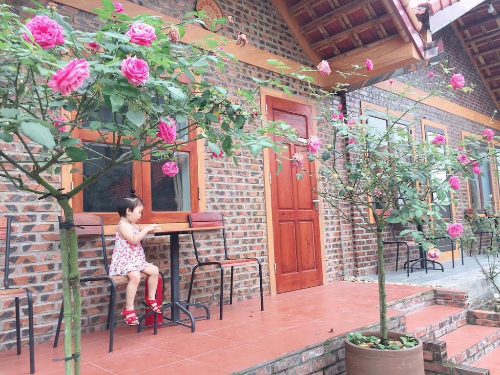 Tam Coc Tropical Homestay - 10