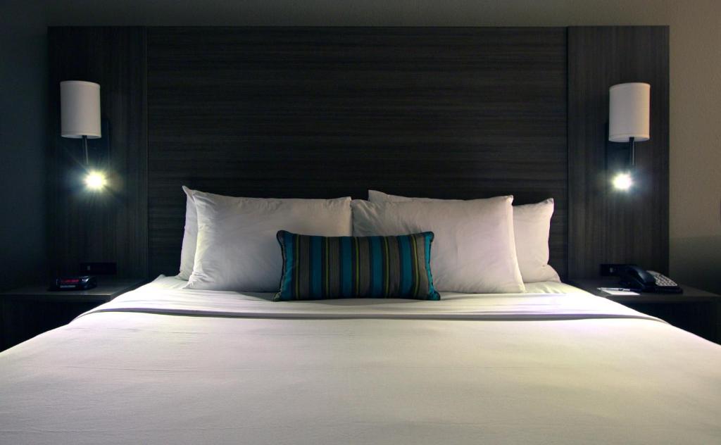 Executive Inn & Suites Oakland - Room King Con Vista Al Agua