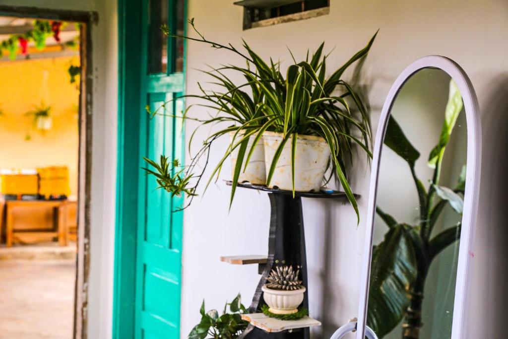 Fotografie z fotogalerie ubytování Chocolate Home v destinaci Da Lat