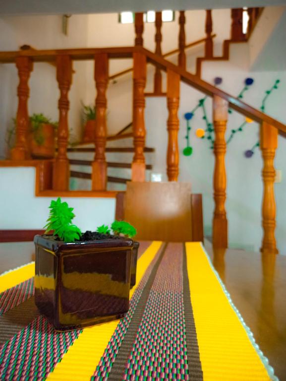 Fotografie z fotogalerie ubytování H-OSTELLO LA MERIDIANA v destinaci Villa de Leyva