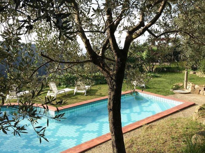 Holiday Residence La Baghera Lamporecchio