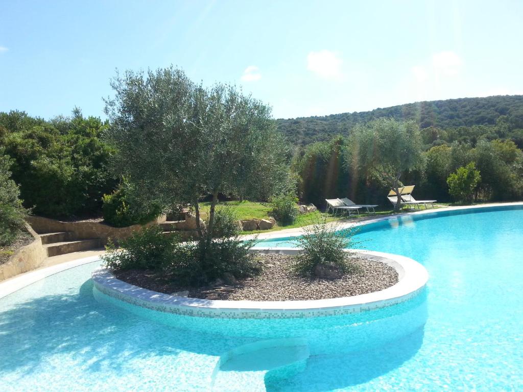 une grande piscine avec un arbre au milieu dans l'établissement Hotel Giardino Corte Rubja, à Iglesias