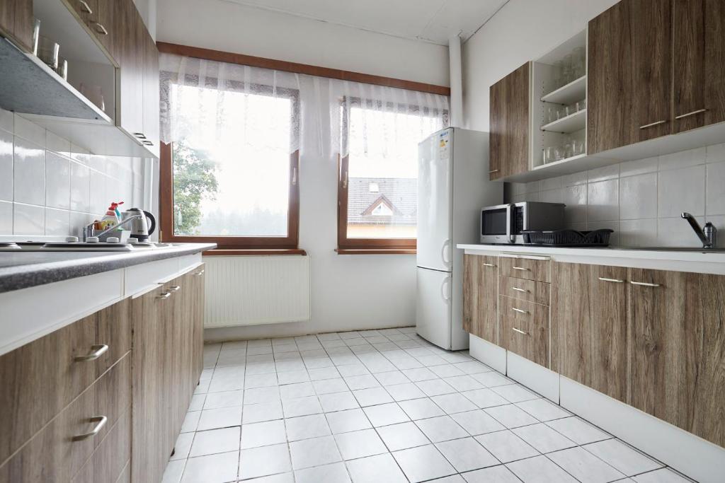 Kuchyň nebo kuchyňský kout v ubytování Hotel Sklárna Harrachov