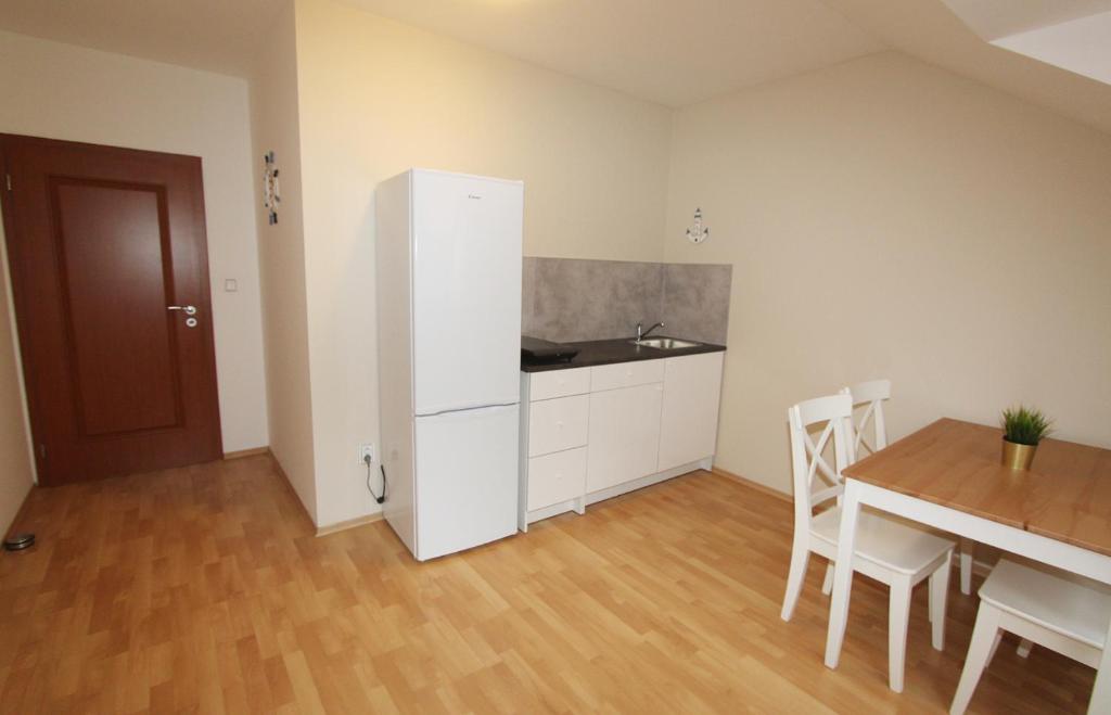 Kuchyň nebo kuchyňský kout v ubytování Apartmán U krále - 3