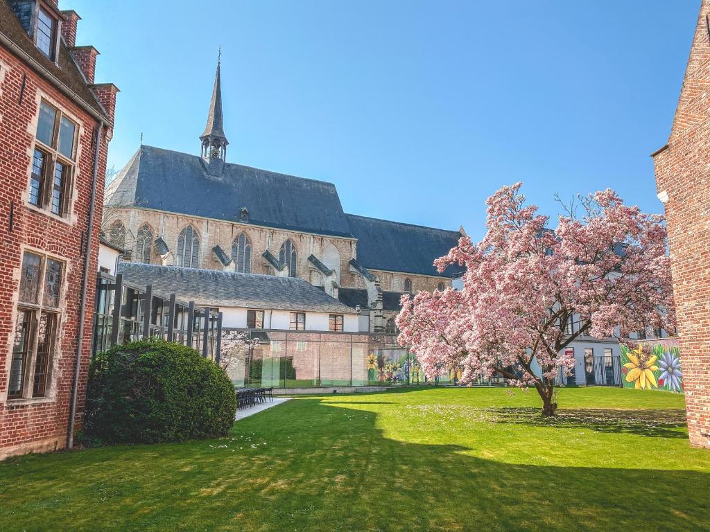 a university yard with a tree in front of a building at Martin's Klooster in Leuven
